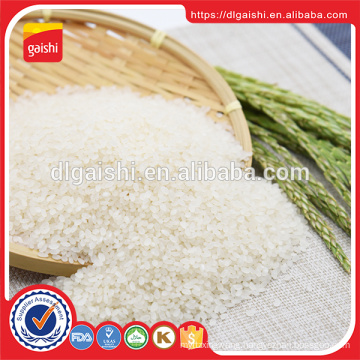 Vietnam broken rice 100%